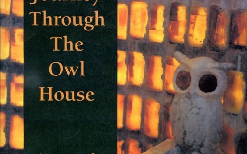 Front cover of A Journey Through The Owl House by Anne Emslie