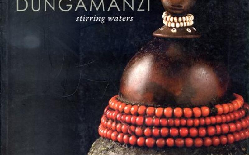 Front cover of Dungamanzi: Stirring Waters by Nessa Leibhammer