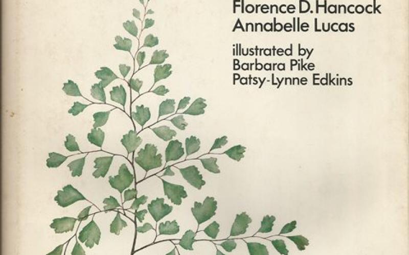 Front Cover of Ferns of the Witwatersrand by Florence D. Hancock & Annabelle Lucas