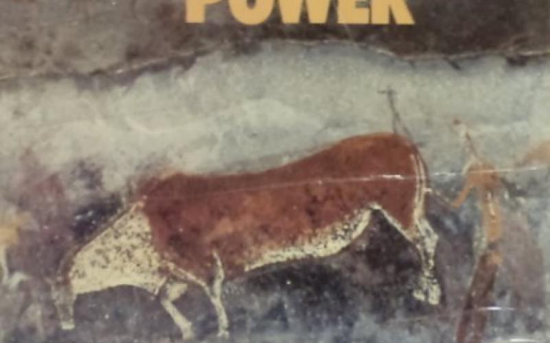 Front cover of Images of Power by David Lewis-Williams and Thomas Dowson