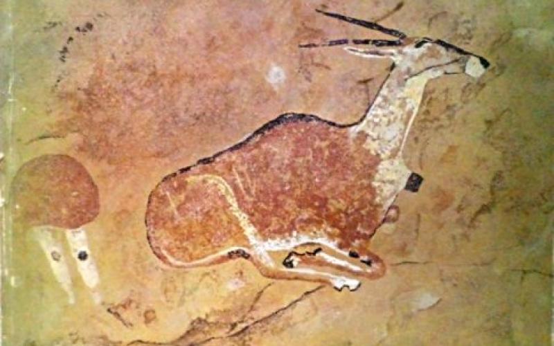 Front cover of Major Rock Paintings of Southern Africa by R Townley Johnson
