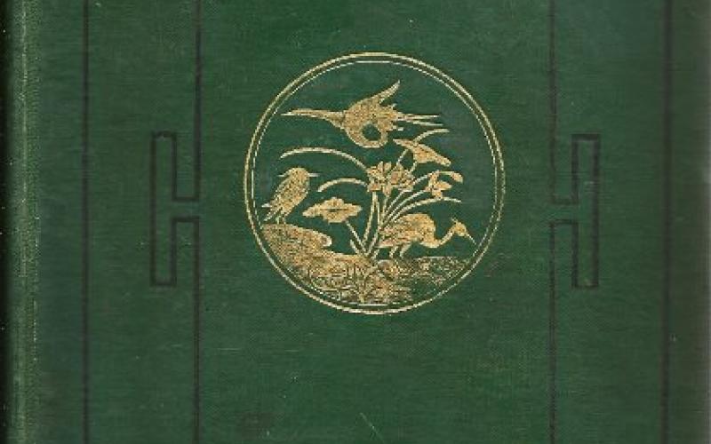 Front cover of Mandalay to Momien by John Anderson