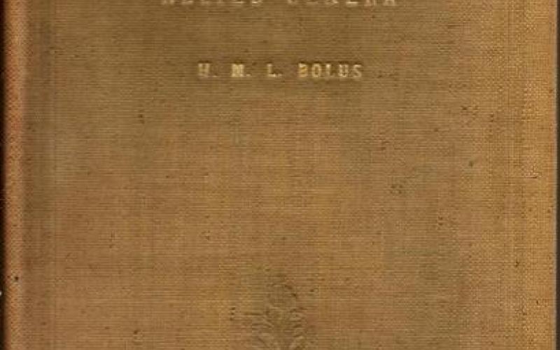 Front Cover of Notes on Mesembrianthemum and Some Allied Genera by H. M. L. Bolus