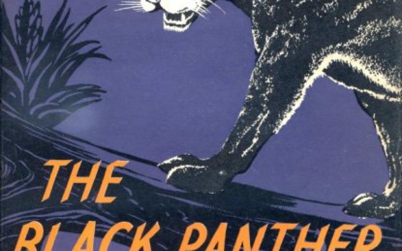 Front Cover of The Black Panther of Sivanipalli by Kenneth Anderson