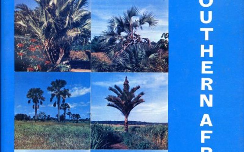 Front cover of The Indigenous Palms of Southern Africa by Hein Wicht 