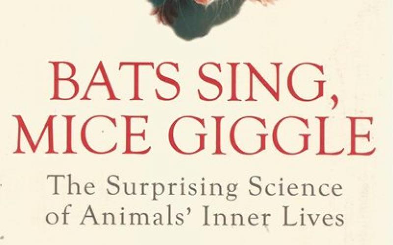 Front cover of Bats Sing, Mice Giggle by Karen Shanor and Jagmeet Kanwal