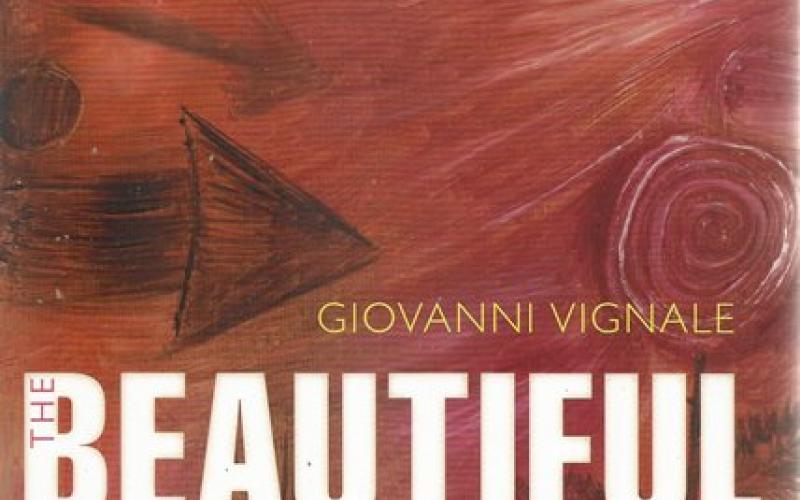 Front cover of The Beautiful Invisible by Giovanni Vignale