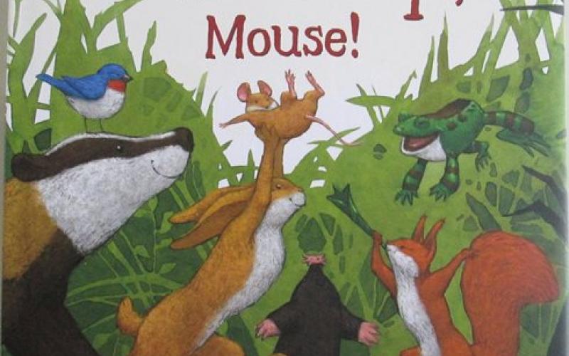 Front cover of Cheer Up, Mouse by Jed Henry