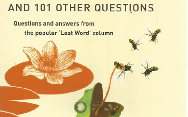 Front Cover of Does Anything Eat Wasps? and 101 Other Questions by New Scientist