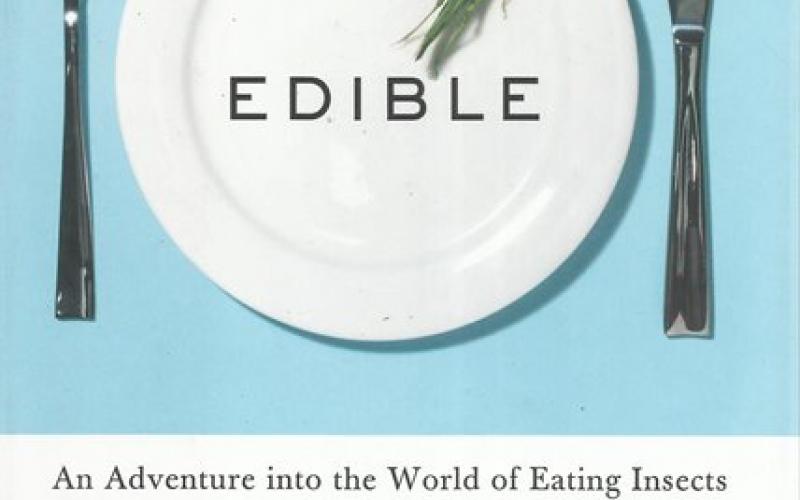 Front cover of Edible by Daniella Martin