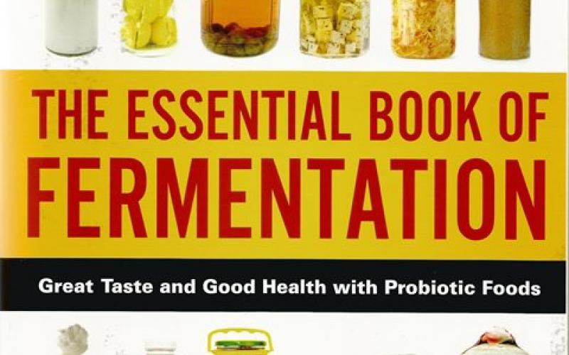 Front cover of  The Essential Book of Fermentation by Jeff Cox