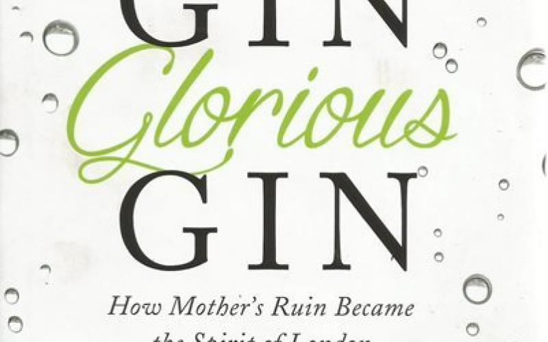 Front cover of Gin Glorious Gin by Olivia Williams