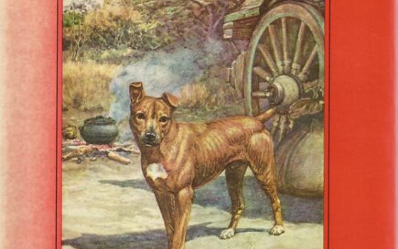 Front cover of Jock of the Bushveld by Percy Fitzpatrick