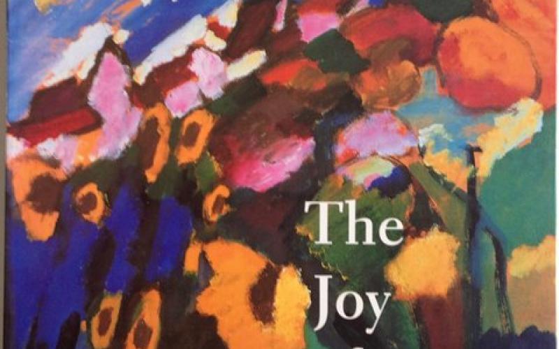 Front Cover of The Joy of Colour edited by Stephanie Rachum 