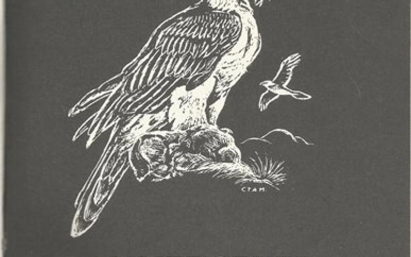 Title page of The Lammergeyer: The Journal of the Natal Parks, Game and Fish Preservation Board 1986-1993 edited by DN Johnson