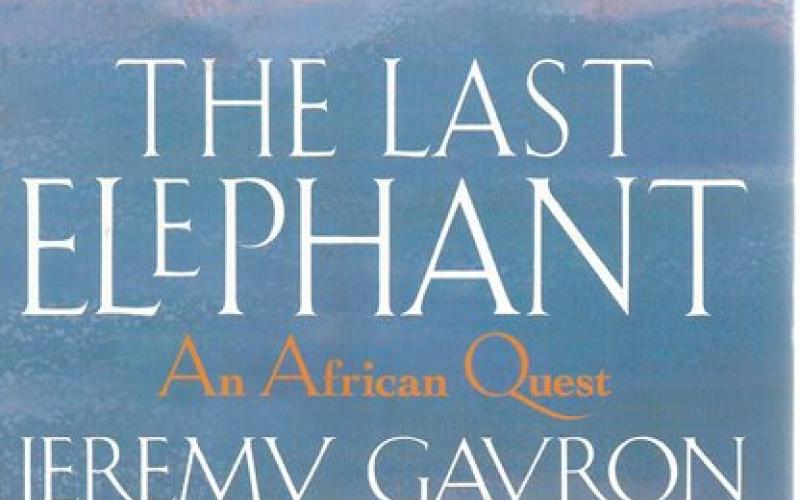 Front Cover of The Last Elephant by Jeremy Gavron