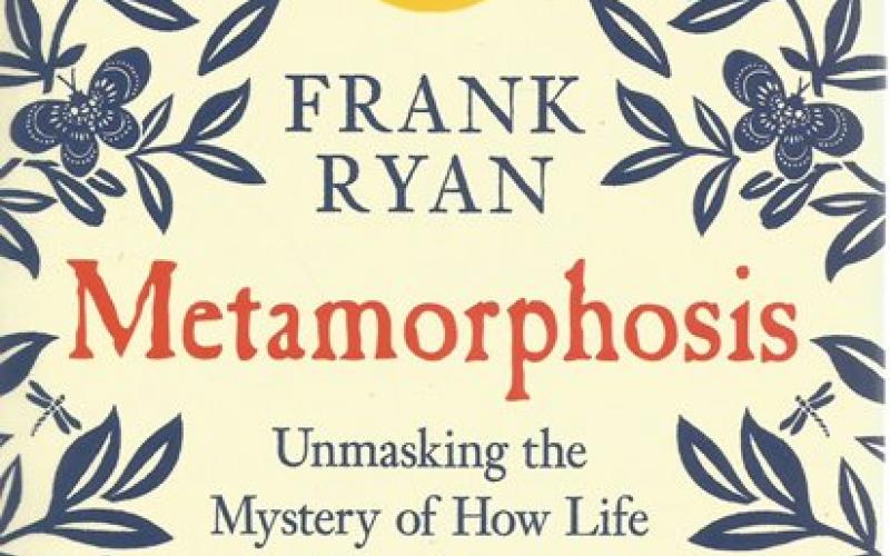Front Cover of Metamorphosis by Frank Ryan