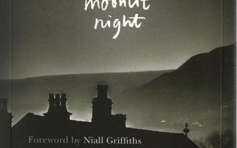 Front cover of One Moonlit Night by Caradog Prichard