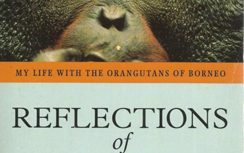 Front Cover of Reflections of Eden by Birute MF Galdikas 