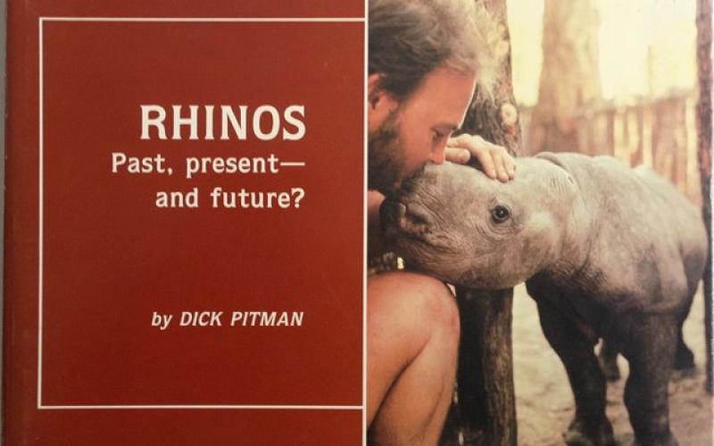 Front Cover of Rhinos by Dick Pitman