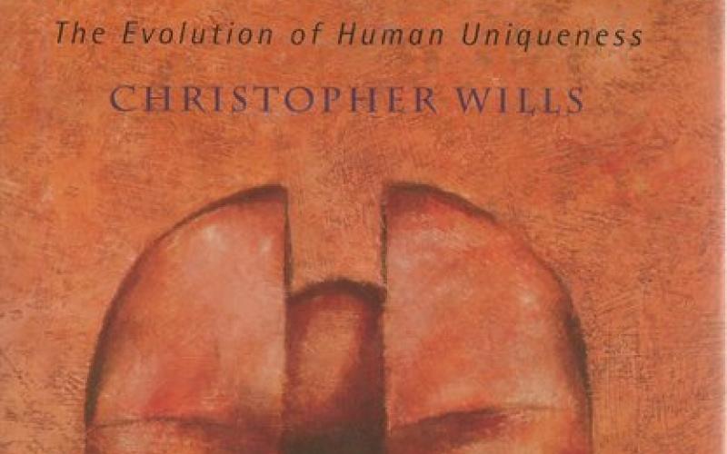 Front Cover of The Runaway Brain by Christopher Wills