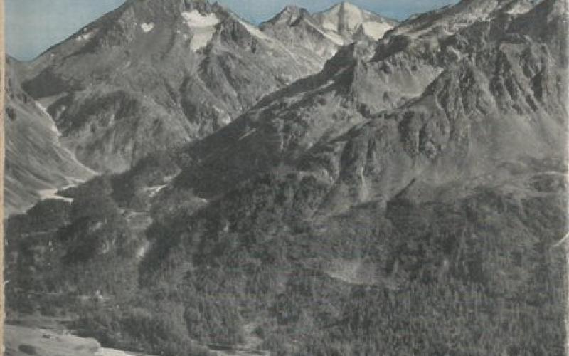 Front Cover of Walking in the Alps by J Hubert Walker