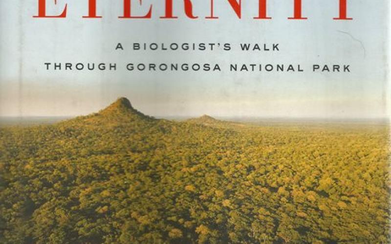 Front cover of A Window On Eternity by Edward O Wilson