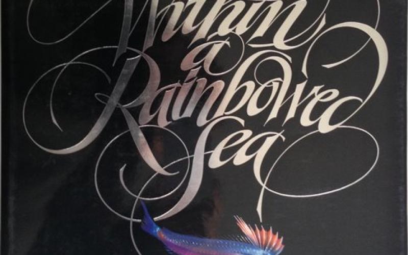 Front Cover of Within a Rainbow Sea by Christopher Newbert