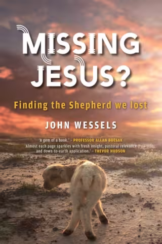Front cover of Missing Jesus by John Wessels