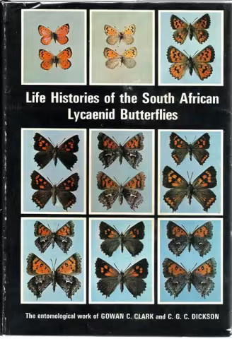 Front Cover of Life Histories of the South African Lycaenid Butterflies by G. C. Clark & C. G. C. Dickson