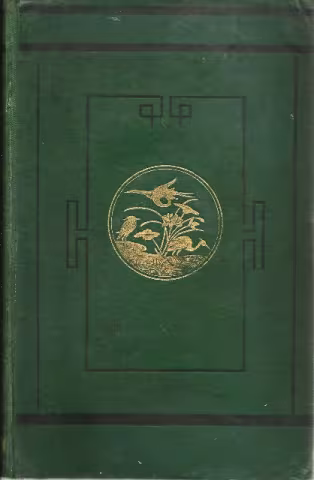 Front cover of Mandalay to Momien by John Anderson
