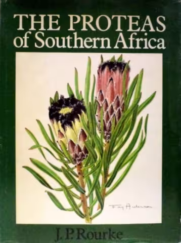 Front cover of The Proteas of Southern Africa by J. P. Rourke
