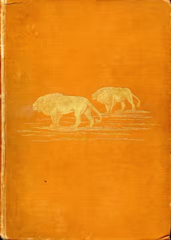 Front cover of Travel And Adventure In South-East Africa by F.C. Selous