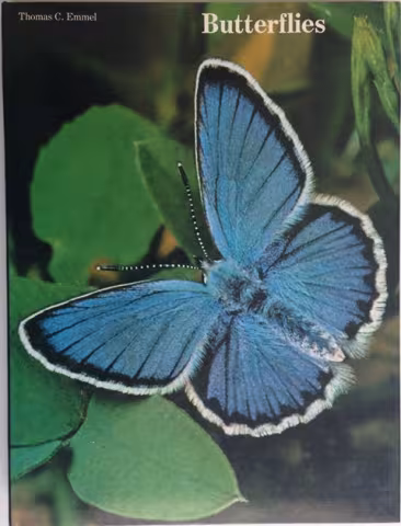 Front Cover of Butterflies by Thomas C Emmel