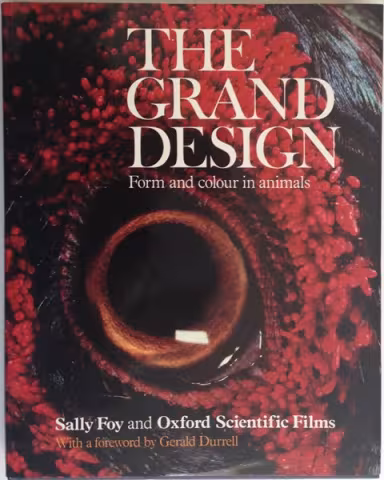 Front Cover of The Grand Design by Sally Foy