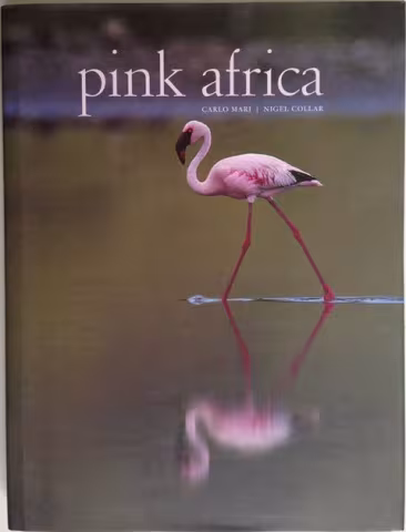 Front Cover of Pink Africa by Nigel Collar 