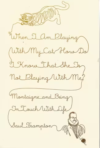 Front cover of When I am Playing with My Cat by Saul Frampton