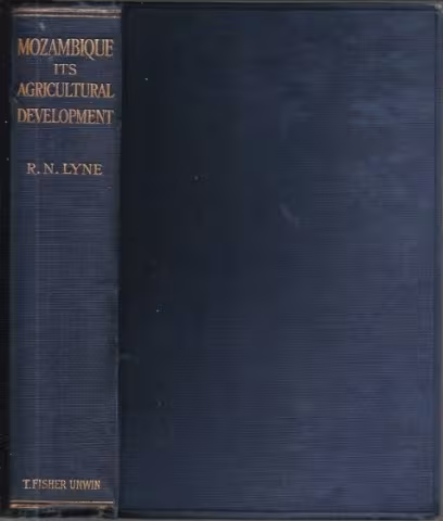 Front cover of Mozambique by R. N. Lyne