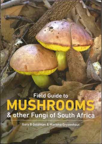 Front cover of Mushrooms & other Fungi by Goldman & Gryzenhout