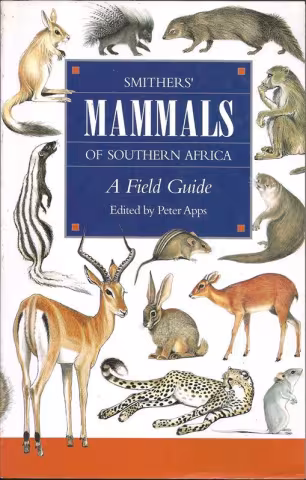 Front cover of Mammals of Southern Africa edited by Peter Apps