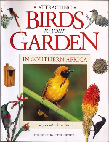 Front cover of Attracting Birds to your Garden in Southern Africa