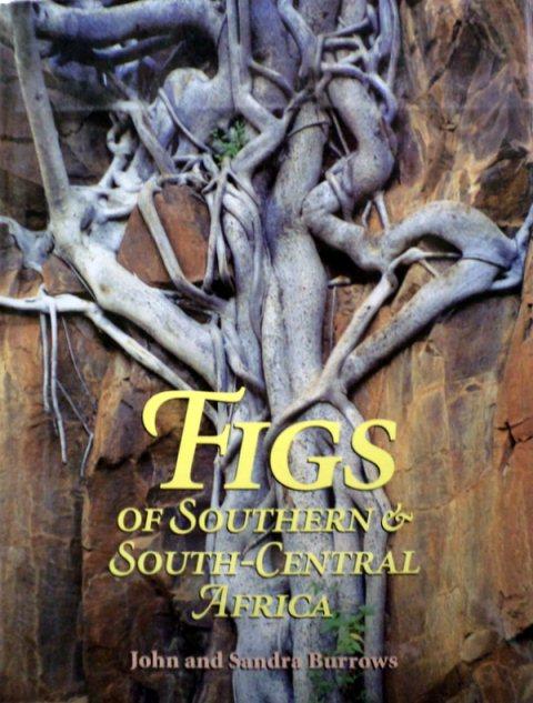 Front Cover of Figs Of Southern And South-Central Africa by John & Sandra Burrows