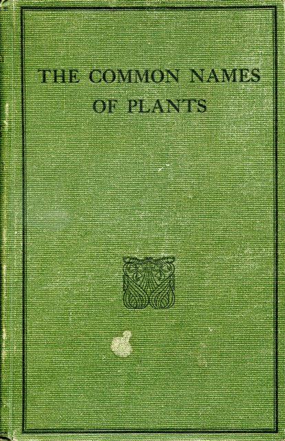Front cover of The Common Names of Plants by Rudolf Marloth