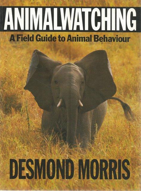 Front Cover of Animalwatching by Desmond Morris