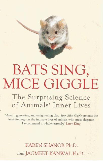 Front cover of Bats Sing, Mice Giggle by Karen Shanor and Jagmeet Kanwal
