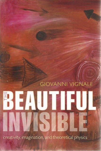 Front cover of The Beautiful Invisible by Giovanni Vignale
