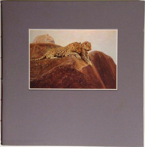 Front Cover of Cats of Africa by Anthony Hall-Martin and Paul Bosman