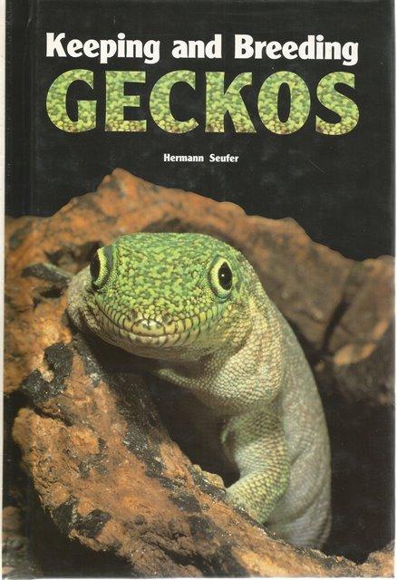 Front Cover of Keeping and Breeding Geckos by Hermann Seufer