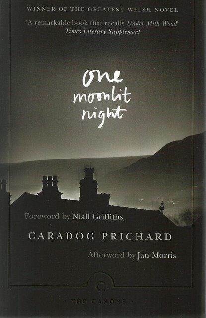Front cover of One Moonlit Night by Caradog Prichard