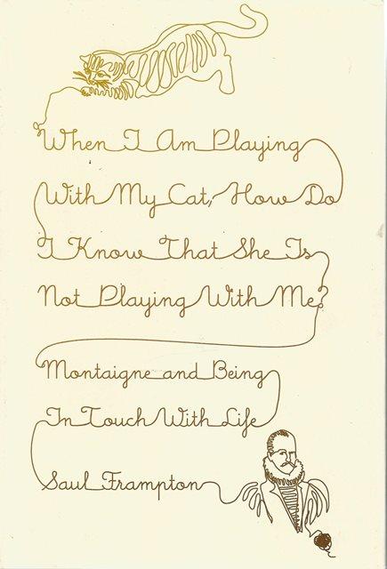 Front cover of When I am Playing with My Cat by Saul Frampton